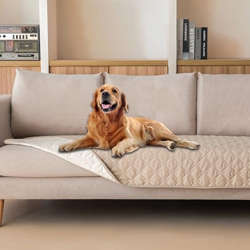 Beds & Furniture