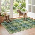 Plaid Outdoor Rug by Othilic