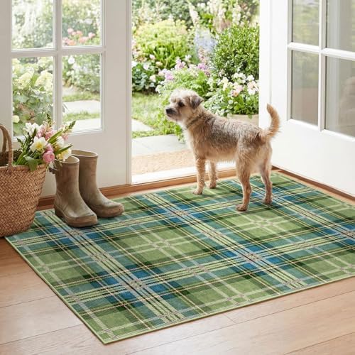 Plaid Outdoor Rug by Othilic