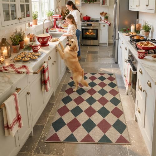 Lahome Christmas Rug, 3x5 Outdoor Christmas Decor Rugs - Image 4
