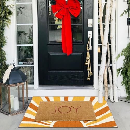 Front Door Mat Indoor Outside Entrance - Image 4