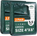 RAINDEWAY Small Tarps 4x8 Feet by RAINDEWAY