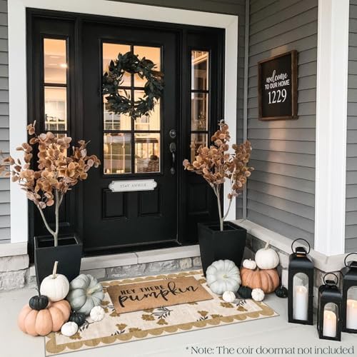 Front Door Mat Indoor Entrance - Image 4