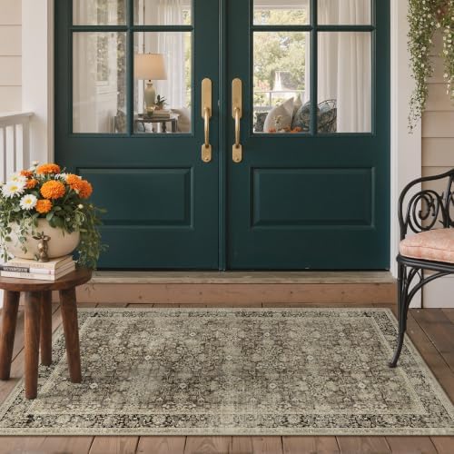 GENIMO Indoor & Outdoor Area Rug 3'x5', Waterproof, Non-Shedding, Easy Cleaning by GENIMO